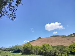 -兰州吐鲁沟国家森林公园