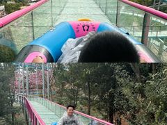 -盈香心动乐园