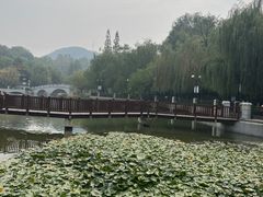 -大连植物园