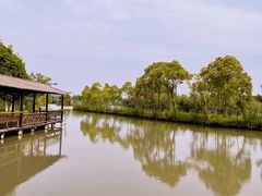 -沙家浜风景区