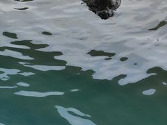 -北戴河圣蓝海洋公园