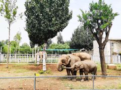 -石家庄市动物园