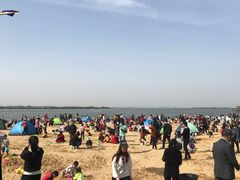 -瑶湖郊野森林公园