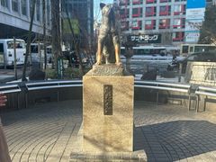 -涩谷区