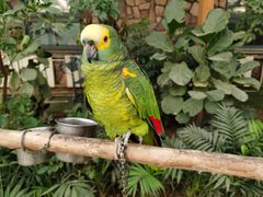 -南宫五洲植物乐园