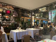 -桂满陇·海市蜃楼·黑金(国金店)