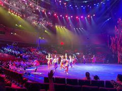 -珠海横琴长隆《卡卡虎奇遇记》