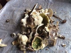 -兴福老面馆(寺路街店)