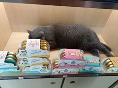 -贝利宠物医院·骨科·眼科·肿瘤转诊中心(南坪诊疗中心)