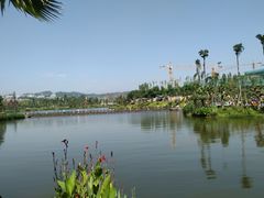 -枫香湖儿童公园