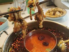 -蛙两只美蛙鱼头火锅(恒茂店)