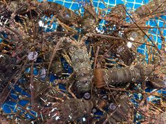 -驻海渔市(置信店)