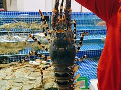 -板桥海鲜广场(文明东店)