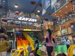 -卡通尼·Safari非洲探索乐园·生日会(金桥国际商业广场店)