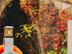 -枫桥景区