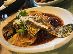 清蒸桂鱼-双井轩(双井店)