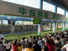 -光明农场大观园