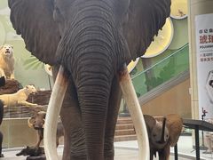 -陕西自然博物馆