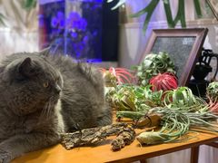 -Rabbit Cafe私房西餐甜点咖啡(栖霞路店)