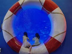 -烟台海昌鲸鲨海洋公园