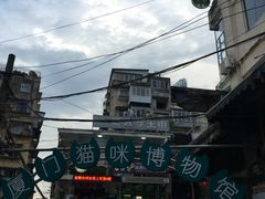 -猫咪博物馆(顶澳仔猫街店)