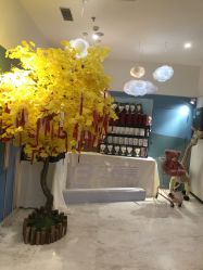 -西安伊美尔医疗美容医院