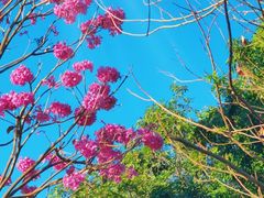 -深圳大运中心世界冠军羽毛球馆