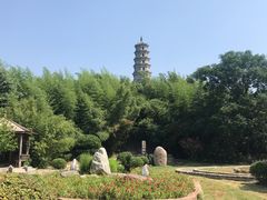 -祥源·阜阳生态乐园