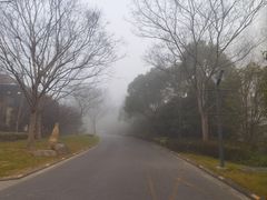 -上海怡沁园度假酒店