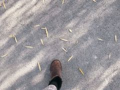 -天津东丽湖风景区