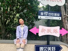 -高东镇樱花园
