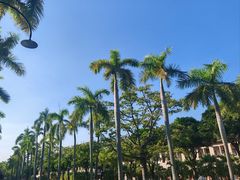 -厦门大学(思明校区)