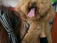 -惠康宠物医院(华能路店)