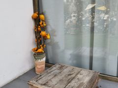 -柠檬花院烤肉·围炉煮茶·草坪团建·生日派对(三圣乡店)