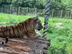 -西安秦岭野生动物园