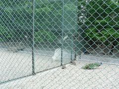 -南京金牛湖风景区