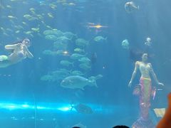 -华夏文旅海洋公园