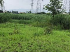 -门城湖公园