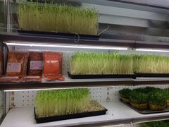 -大龙老火锅·总店(龙头寺店)