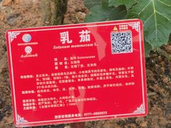 -广西壮族自治区药用植物园