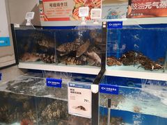 豉油元气蒸石斑鱼-盒马鲜生(和谐广场店)