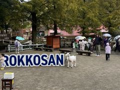 -神户市立六甲山牧场