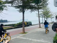 -万绿园