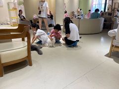 -藏猫猫咖啡主题馆(中央大道店)