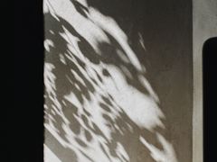 -梵几(东信·和创园店)