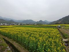 -绩溪龙川景区