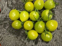 -吴越荣记苏州菜·松鼠桂鱼100%活鱼现做(斜塘老街店)