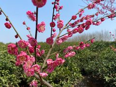 -敬亭山风景名胜区