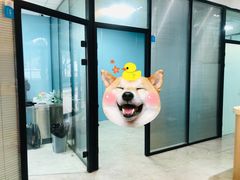 -喜洋洋宠物医院(震川路总店)