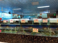水产区-金龙渔港(双楠店)